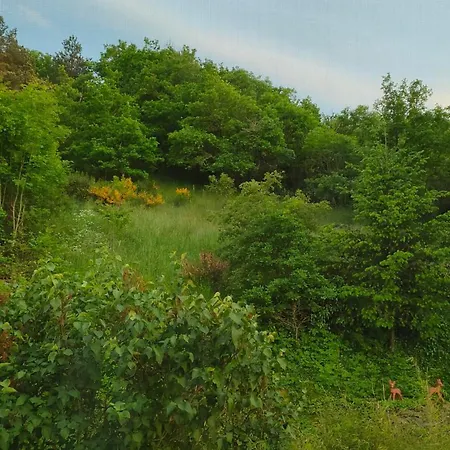 Au Coeur De L'aveyron Montagnol